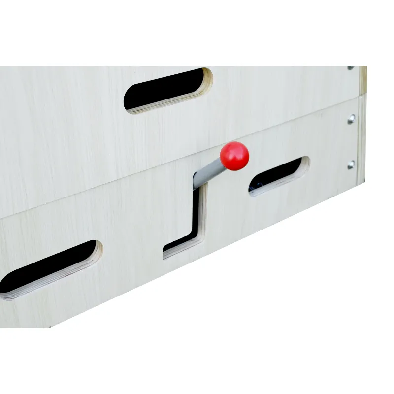 Caja de Valoración de 5 Secciones