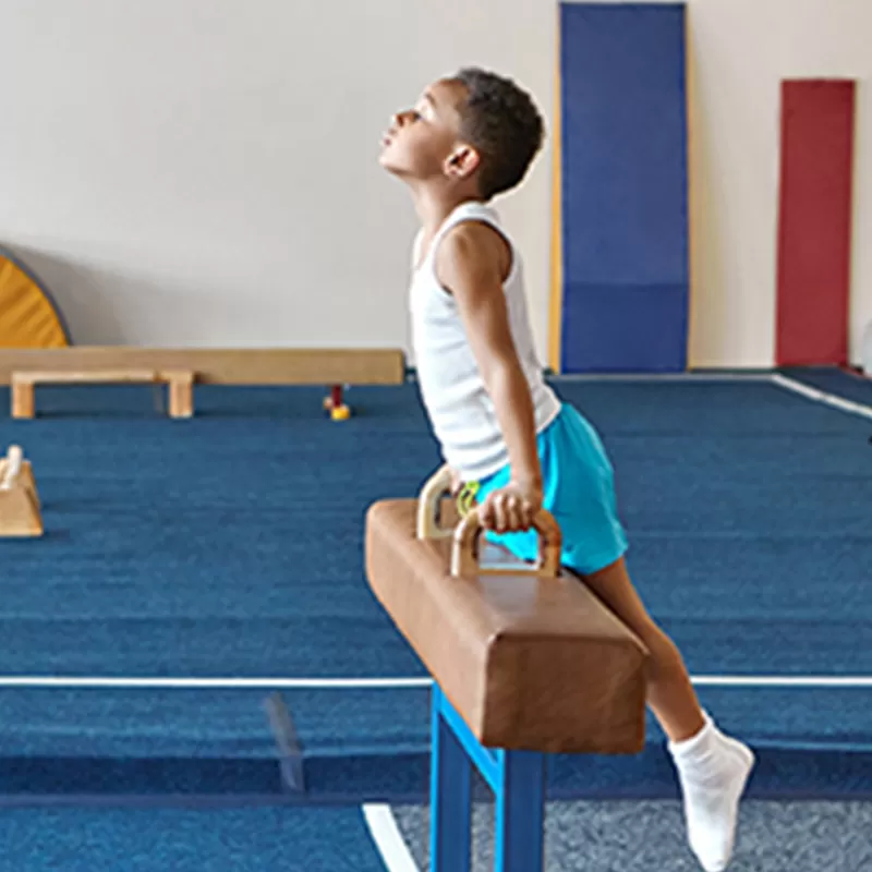 Gimnasia
